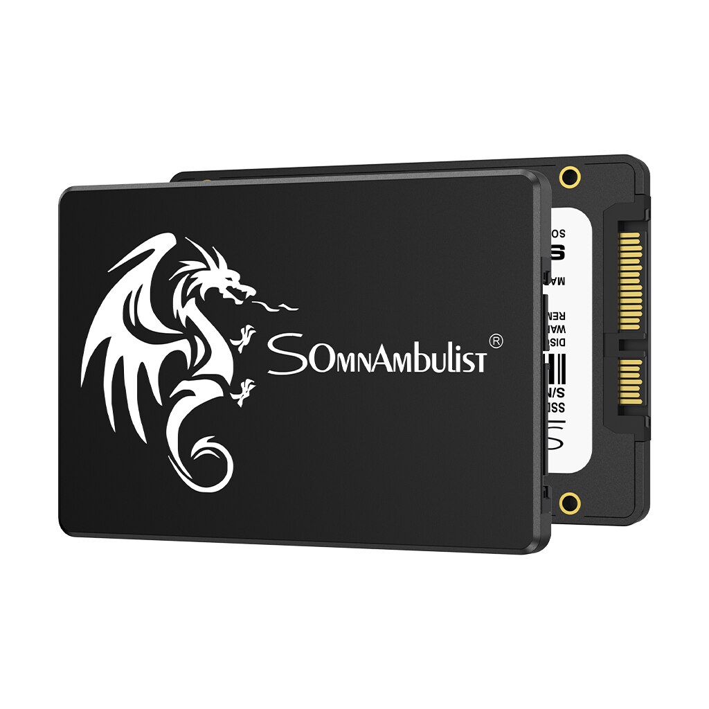 SomnAmbulist SSD 120GB 240GB 4 - Ssd 500Gb 리뷰 및 가격