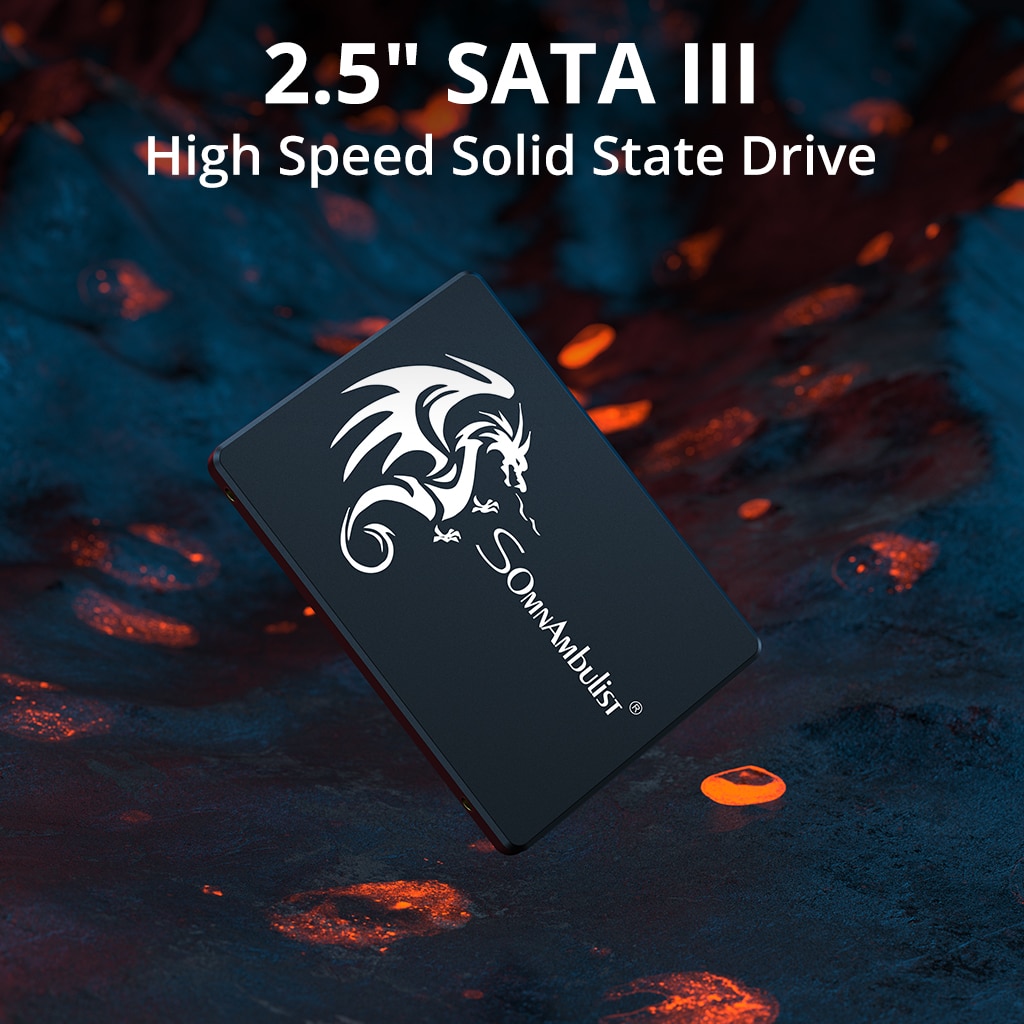 SomnAmbulist SSD 120GB 240GB 4 - Ssd 500Gb 리뷰 및 가격